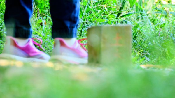 桃園石門山2916127