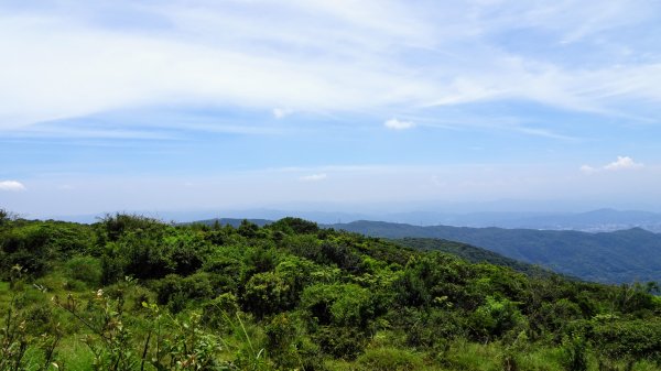 荷蘭古道,北五指山,瑪礁古道1814424