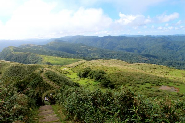 草嶺古道-桃源谷遍野芒花翻飛，飽覽絕美山海奇景！2335611