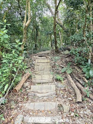 【屏東來義】小百岳棚集山x棚集下山O 繞3013086