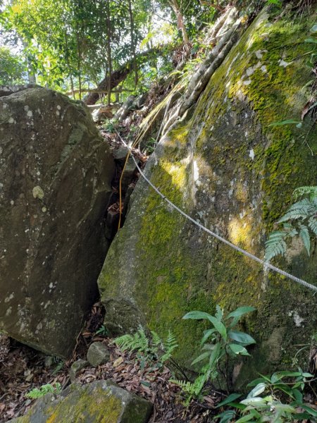 春谷養鱒場-小東河山北峰-小東河山-大龍山-南大龜山-光天高山-春谷養鱒場 O型 2021.6.301422731