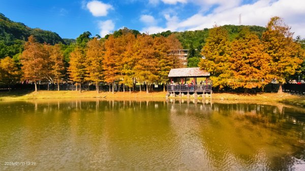 #花卉試驗中心 #永公路500巷 #平菁街42巷 #原住民公園 #士林官邸 1/42980356