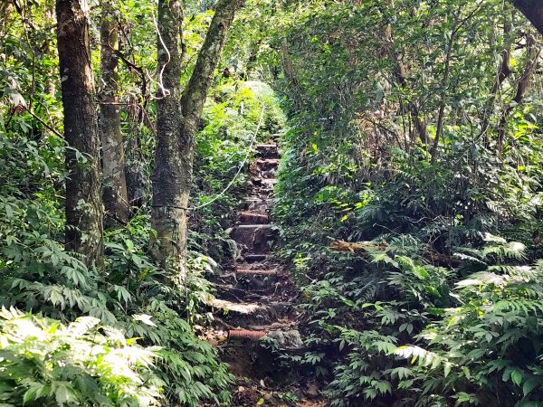 小百岳No.17⛰二格山2895566
