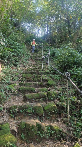 春天鮮綠的呢喃基隆荖寮坑古道上望古山登五分山O型2747332