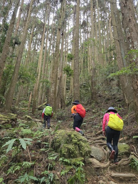 No.34小百岳-加里山2647249