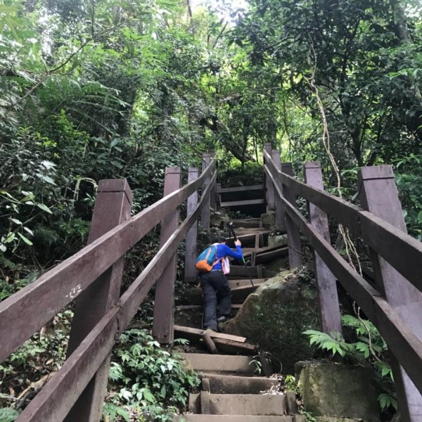 新竹五指山599750