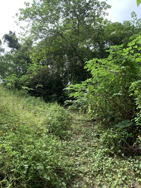 20251024台南東西崙山2925625