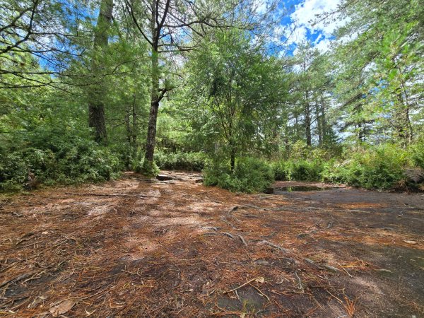 志佳陽大山／至高點／雪山大草原／瓢單山屋／四季蘭溪吊橋2927672