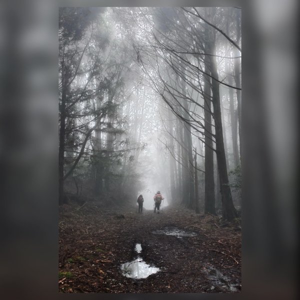 20250209 觀雪縱走2712933