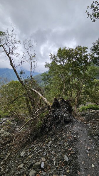 【美美兔走山趣】瓦拉米單攻27.2K-神人級路線。2773397