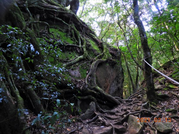 苗栗 南庄 加里山、哈堪尼山1304157