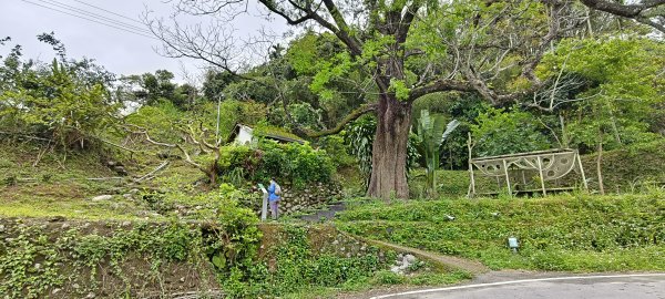 2025/04/13_大窩文史生態區步道2760233