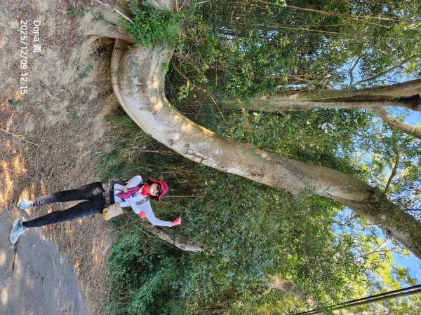 20251209新竹寶二水庫環湖O走+峨嵋湖2969281