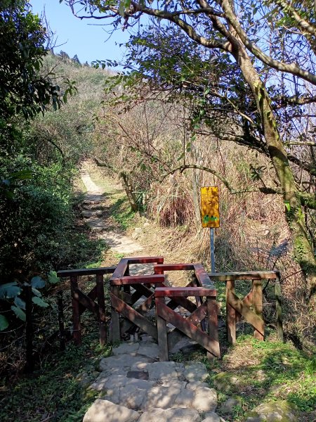 【臺北大縱走 3】風櫃口頂山石梯嶺擎天崗1264492