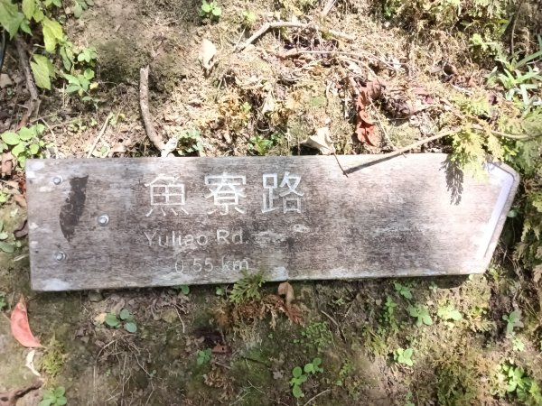平溪區大華步道+幼坑古道+幼坑崙(大華車站-三貂嶺車站)2925260