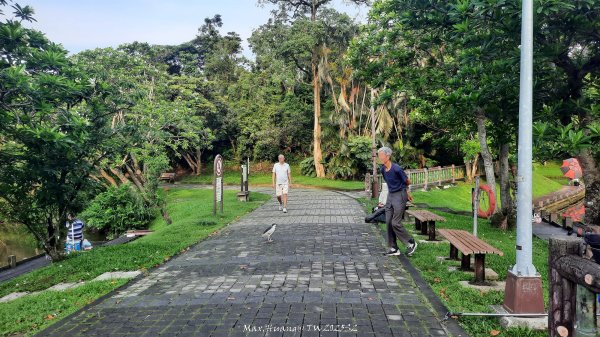《台北》城市晨運｜南港公園後山埤公園O繞202505232795830