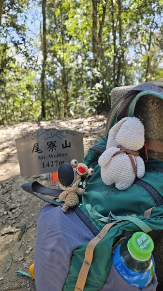 國際巨星-喜德，陪走！🤣🤣】18訪魔王小百岳-尾寮山。農曆年前最後一走，感謝氣象預報有準。2997904