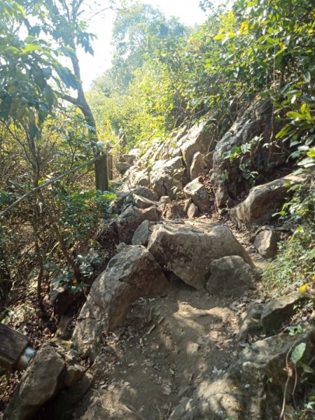 龍麟山步道1731281