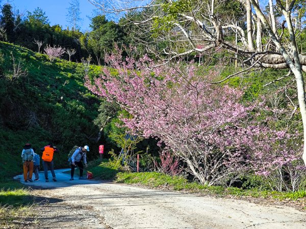 2025-02-16 巴蜈縱走2714312