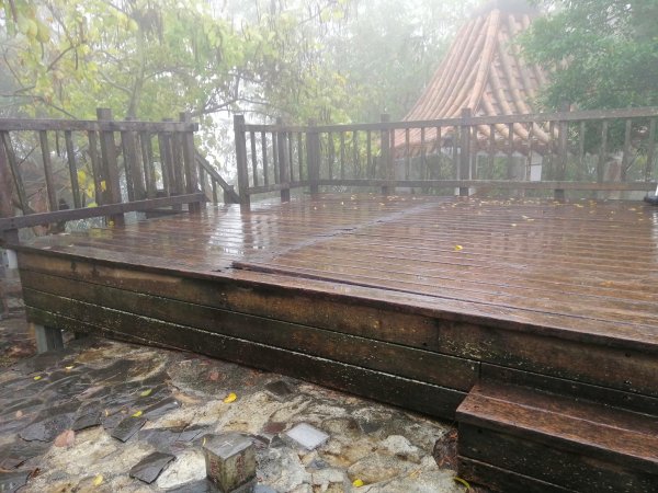 高雄大社~健身踏青好選擇~小百岳觀音山907988