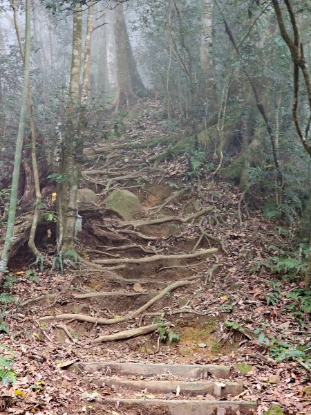 小百岳集起來-石壁山2184955