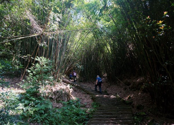 觀音山、尖山(占山) O型1336578