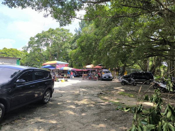 20250809樹迴縱走2855036