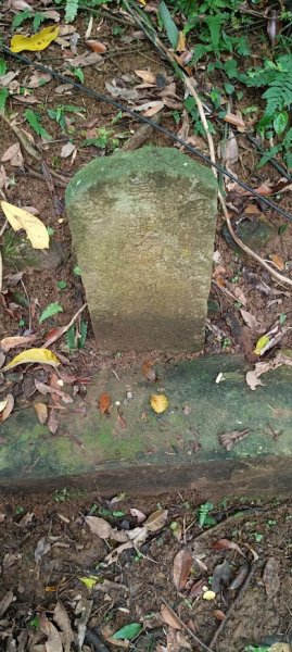 2026 4/11 龜山島3033785