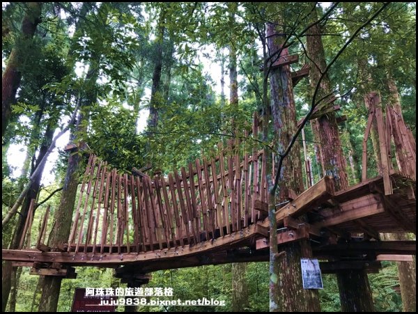 東眼山打卡新亮點森林裡的木構裝置藝術1021742