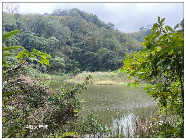 山塘背登山步道 O型路線封面