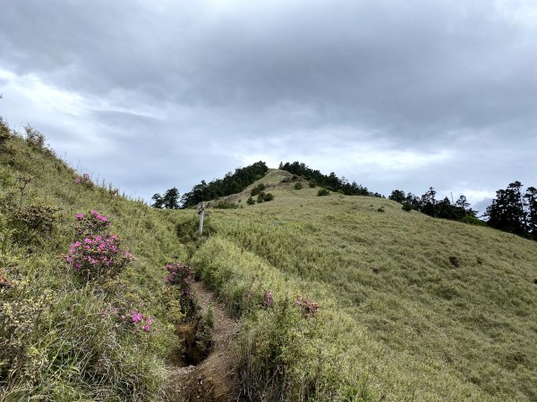 2020/06/11志嘉陽大山993187