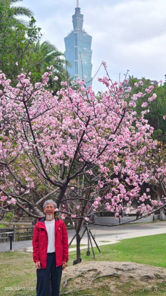 #虎山  #101大樓  #國父紀念館 #河津櫻 #中正紀念堂 2/193002699