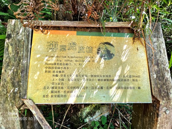 好走避暑的李崠山.泰平山.馬望僧侶山O型2567232