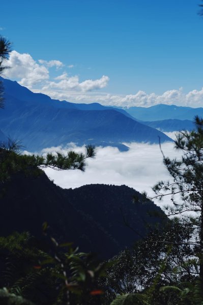 水社大山1191230