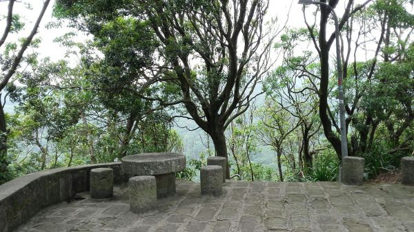 忠勇山親山步道112623