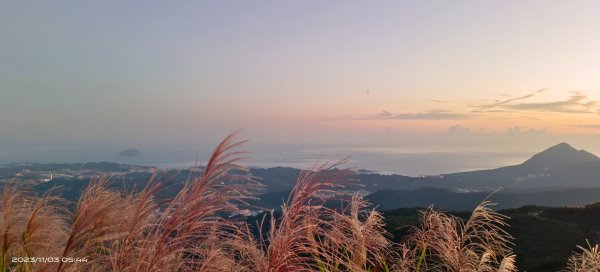 五分山夜景/晨曦/日出/山嵐/芒花2335006