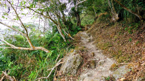 梅嶺竹子尖山2987433