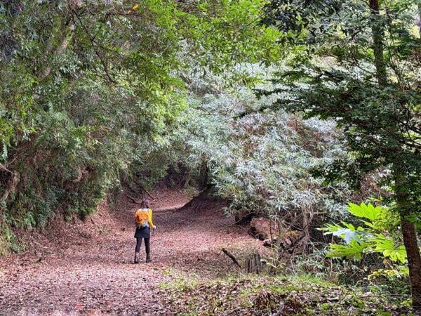 雪霸國家公園 雪見遊憩區 東洗水山2928574