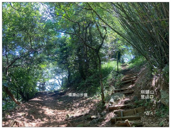 福源山步道 (桃園、龜山)2819174