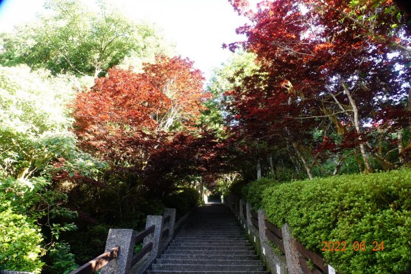 宜蘭 大同 太平山森林遊樂區1743626