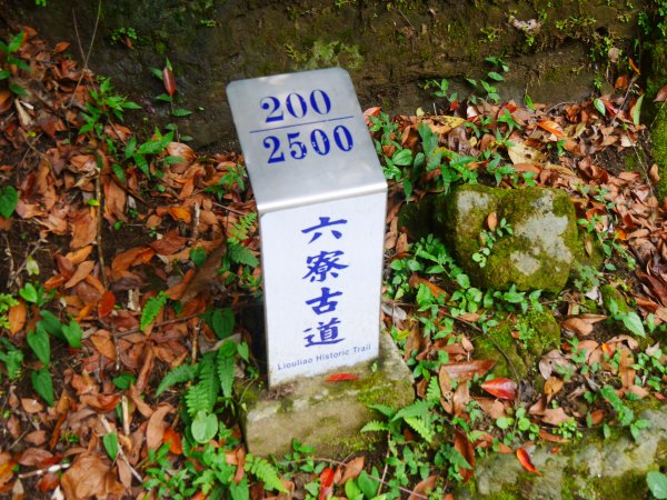 2020.5 獅山古道群 966846