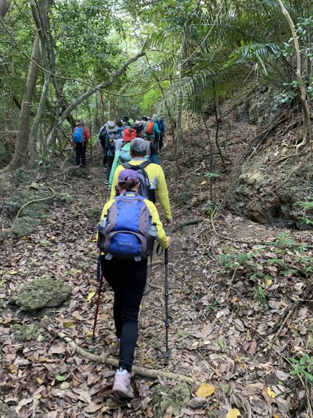 20250222屏東赤牛嶺-大山母山-小尖石山2719900