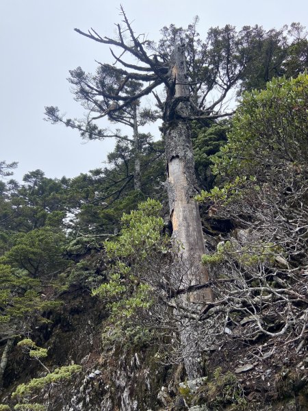 20230515-16玉山前西峰+遠望雨中的主東北2436692