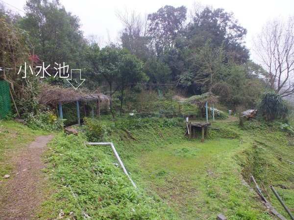 北投區陽峰古道+東昇步道+鼎筆橋步道十八挖水圳步道+猴崁古道+青春嶺步道+大屯瀑布8字走2775634