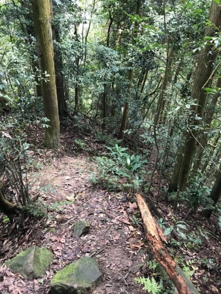 仙山.八仙古道O型走521363