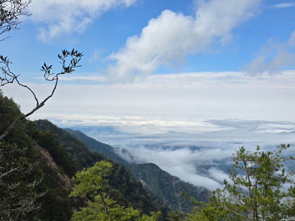 鳶嘴山+稍來神木2709898