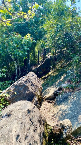 龍麟山登山步道2730761