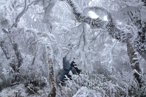  2021 D0101 純色北插1225499