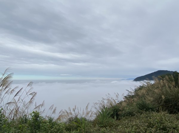 雲嘉五連峰1530955