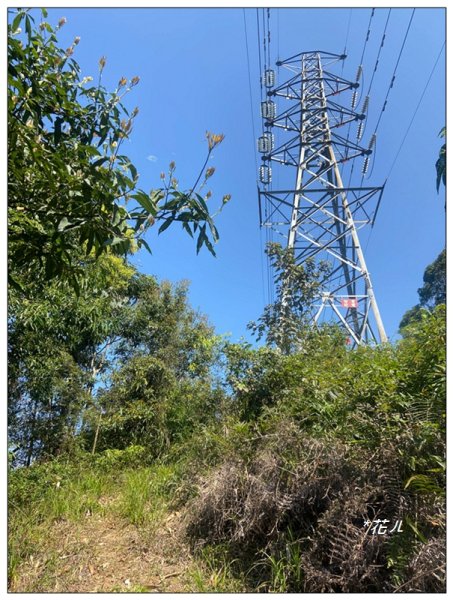 阿里眉山 (日月潭四姝的么妹)2753064